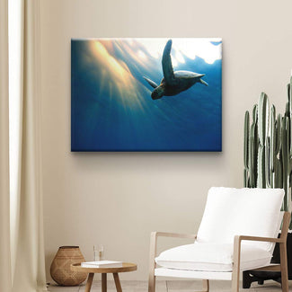 Leinwandbild mit Meeresschildkröte unter Wasser, modernes Wandbild im Wohnzimmer