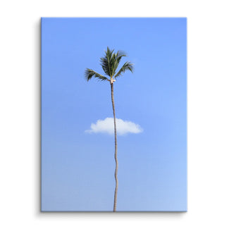 Lonely palm