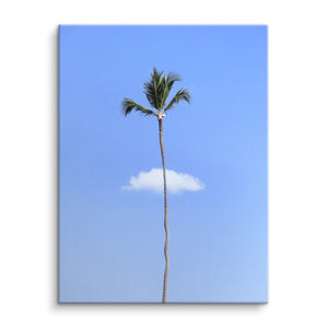 Lonely palm