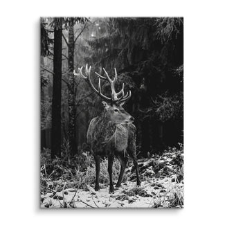 Frost Antlers