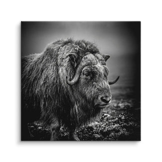 Arctic Guardian