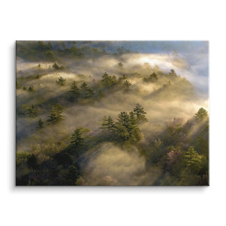 Maine Morning