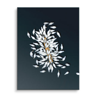 Swan Petals