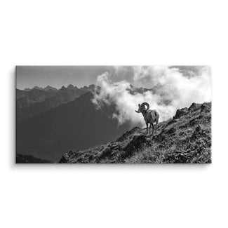 Mountain Guardian