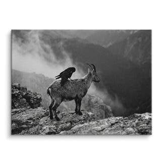 Mountain Alliance