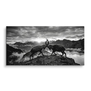 Mountain Duel