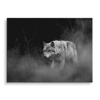 Silent Wolf