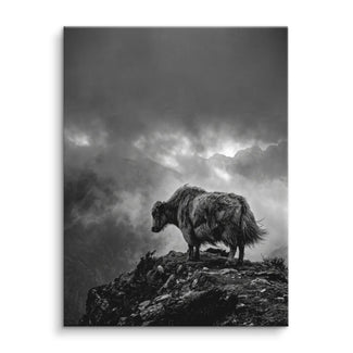 Highland Mist