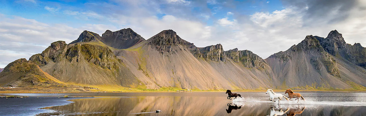 Nature & paysage