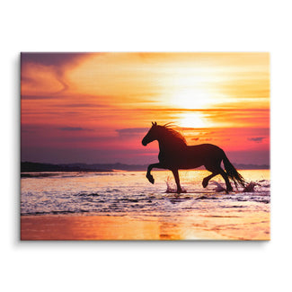 Chasing Sunset