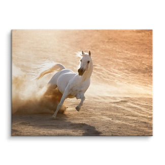 Dust Dancer