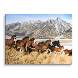 Alpine spirit