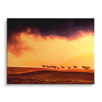 Wild horizon
