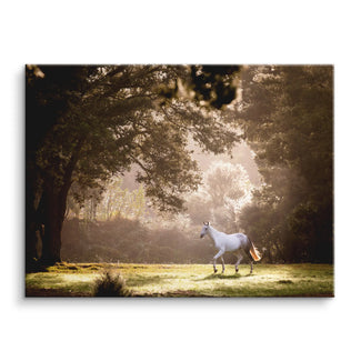 Forest whisper