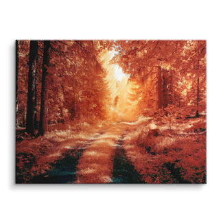 Golden Forest