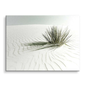Wandbild mit Wüstenpflanze auf weißem Sand, minimalistisches Naturmotiv, Leinwandkunst