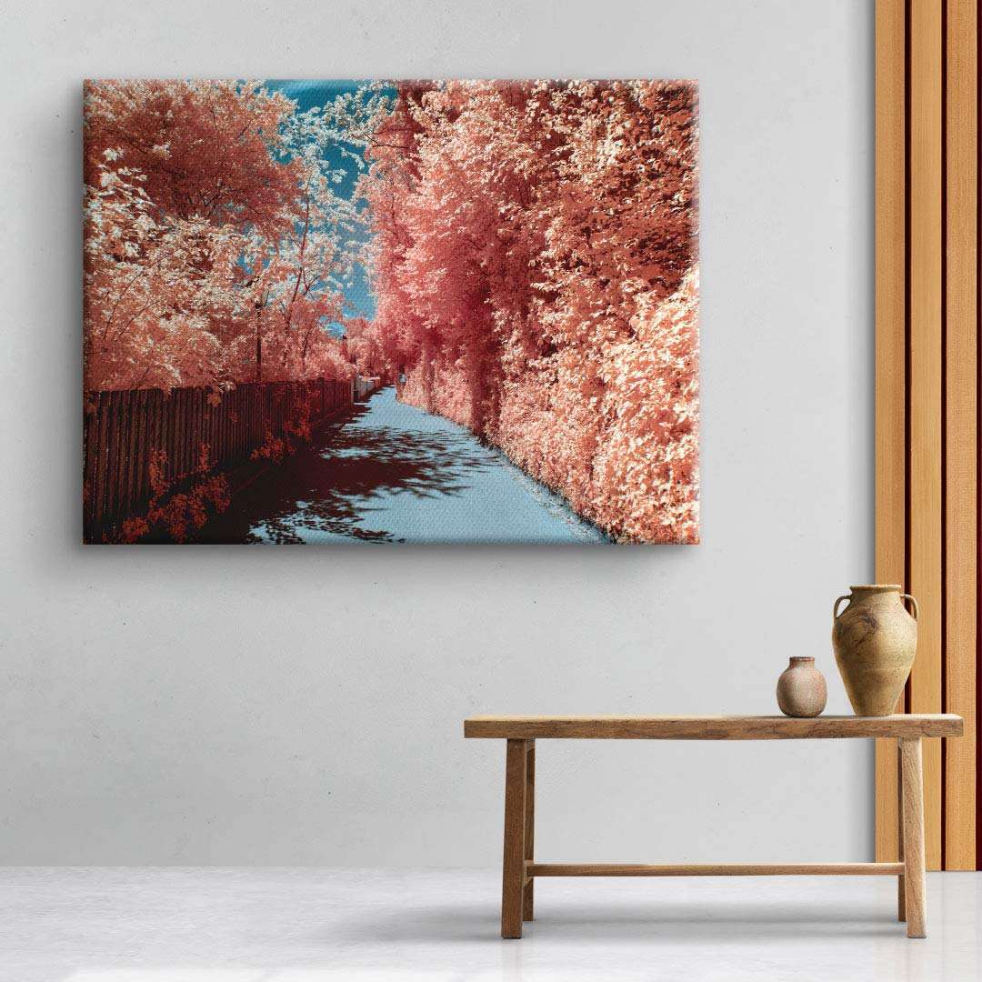 Infrared Road