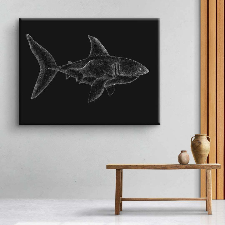 Shark