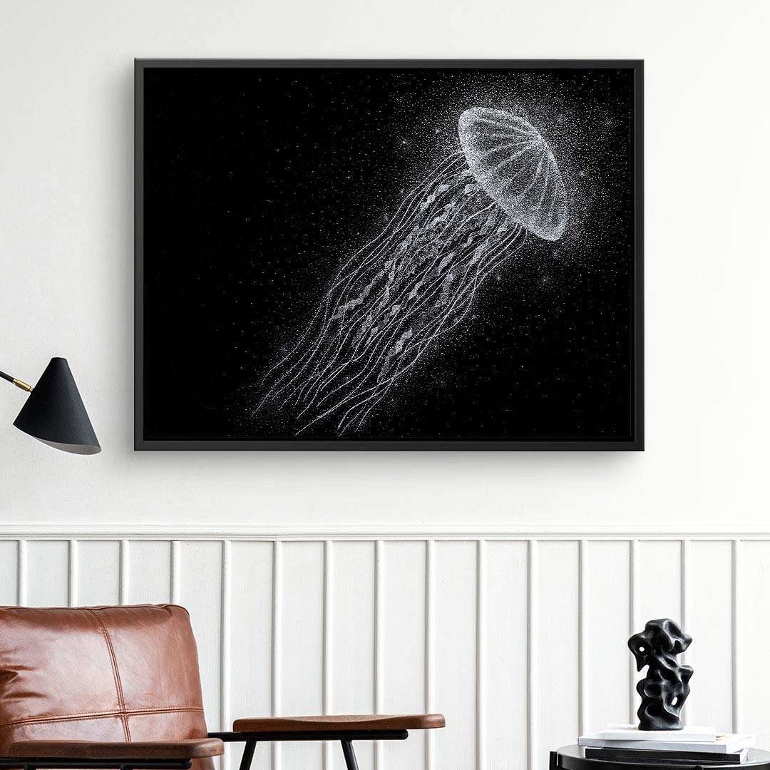 Jellyfish