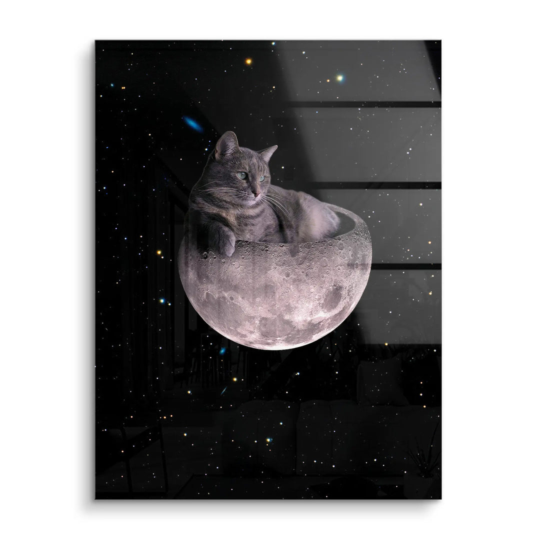 Cosmic nap