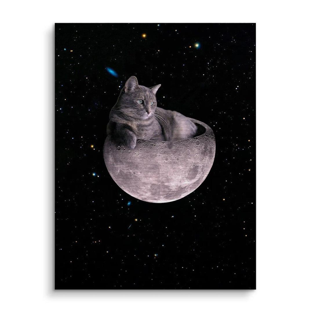 Cosmic nap