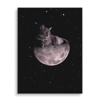Cosmic nap