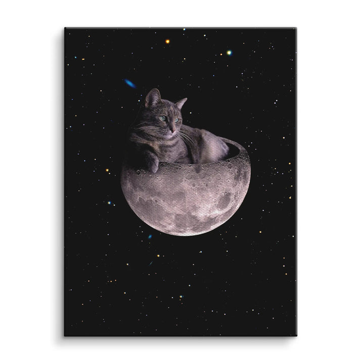 Cosmic nap