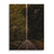 Straight ahead