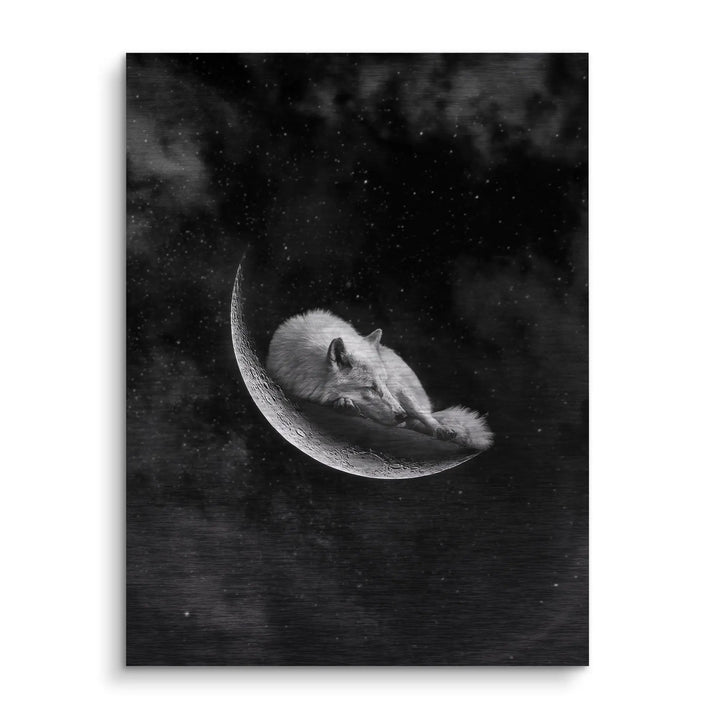 Moonlit fox