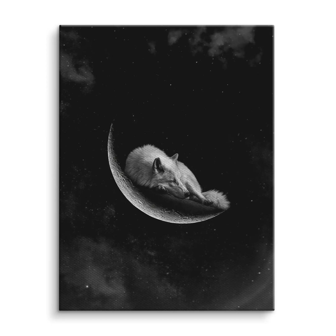 Moonlit fox