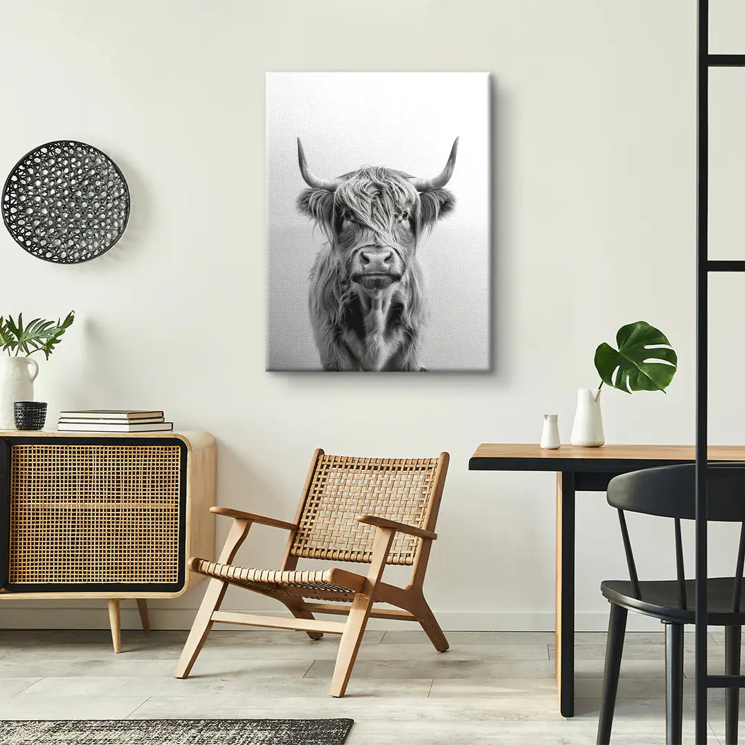 Highland Cattle