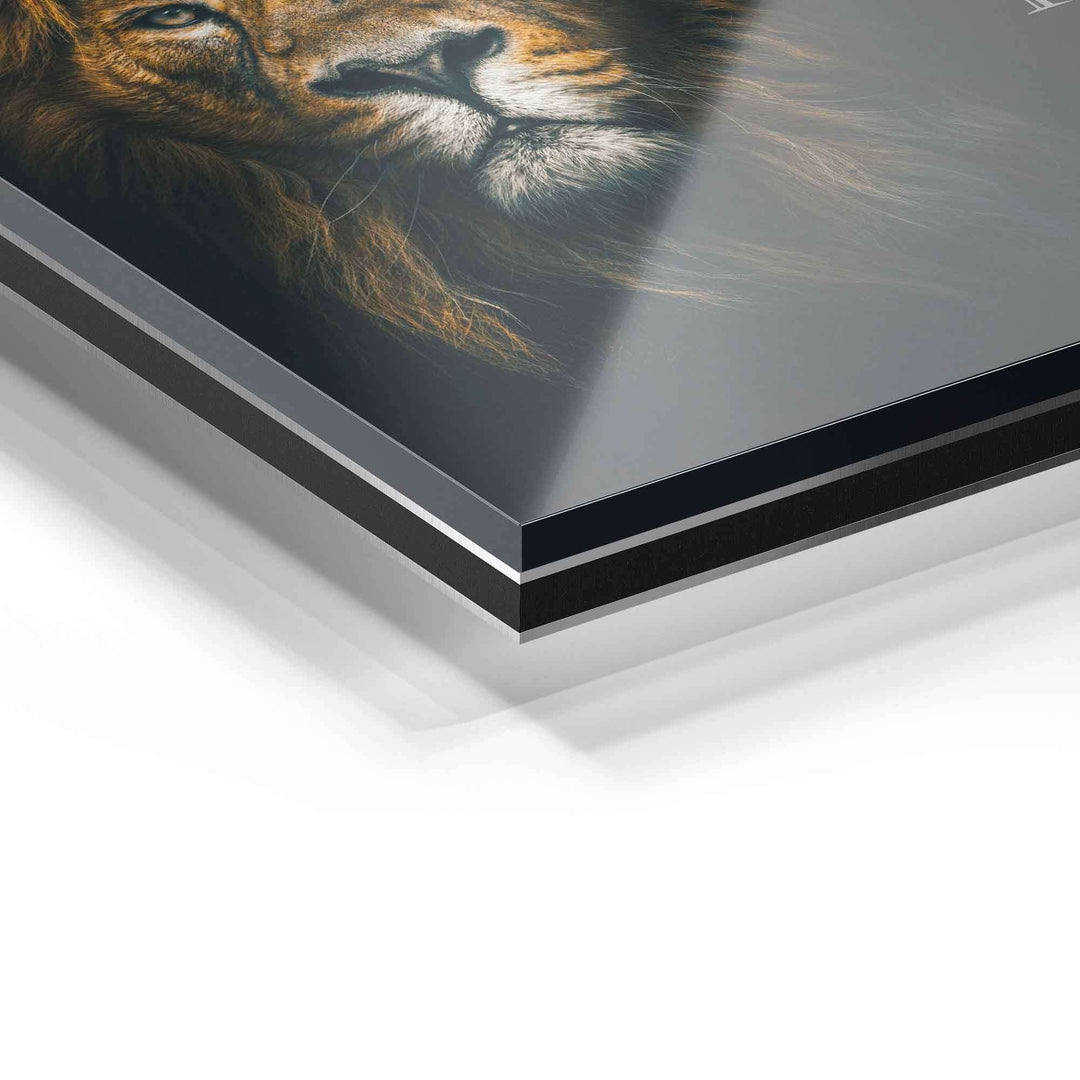 Detailaufnahme Acrylglas-Wandbild mit Löwenmotiv, moderne Kunst, glänzende Oberfläche