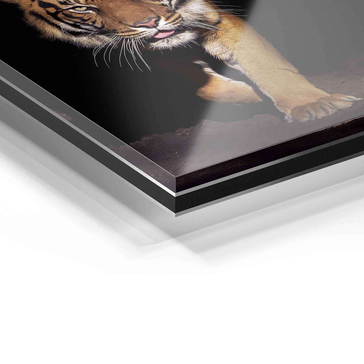 Detailansicht Acrylglas-Wandbild mit Tiger-Motiv, moderne Kunst, hochwertige Verarbeitung