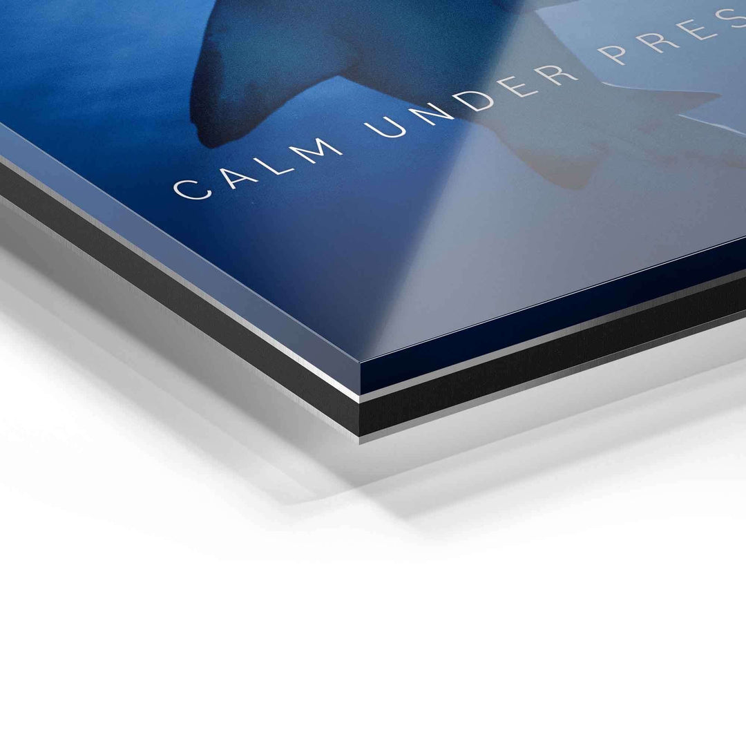 Detailaufnahme eines Wandbilds auf Acrylglas mit Hai-Motiv und Text CALM UNDER PRESSURE