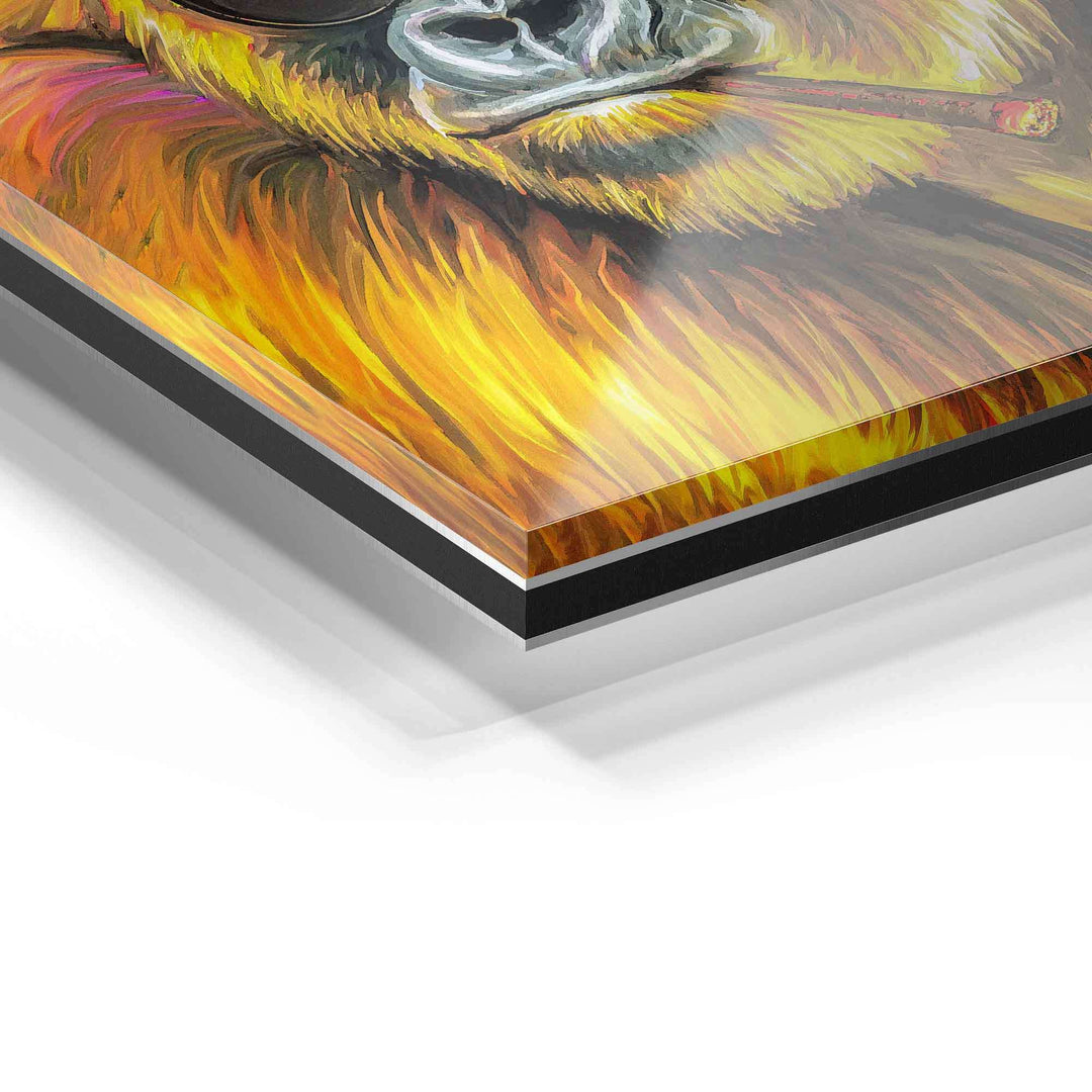 Detailaufnahme Acrylglas Wandbild mit buntem Tiermotiv und leuchtenden Farben