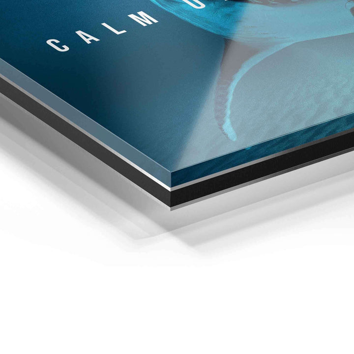 Detailaufnahme Acrylglas Wandbild mit Hai-Motiv und dem Text 'CALM' auf blauem Hintergrund