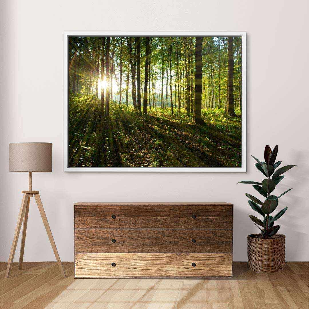 Wandbild Leinwand Sonnenaufgang im Wald, Naturkunst für Wohnzimmer, moderne Wanddekoration