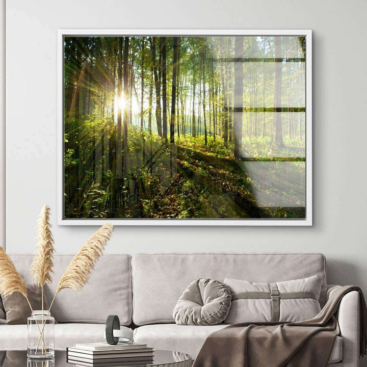 Wandbild mit Sonnenstrahlen im grünen Wald, modernes Wohnzimmer, Natur Leinwandbild
