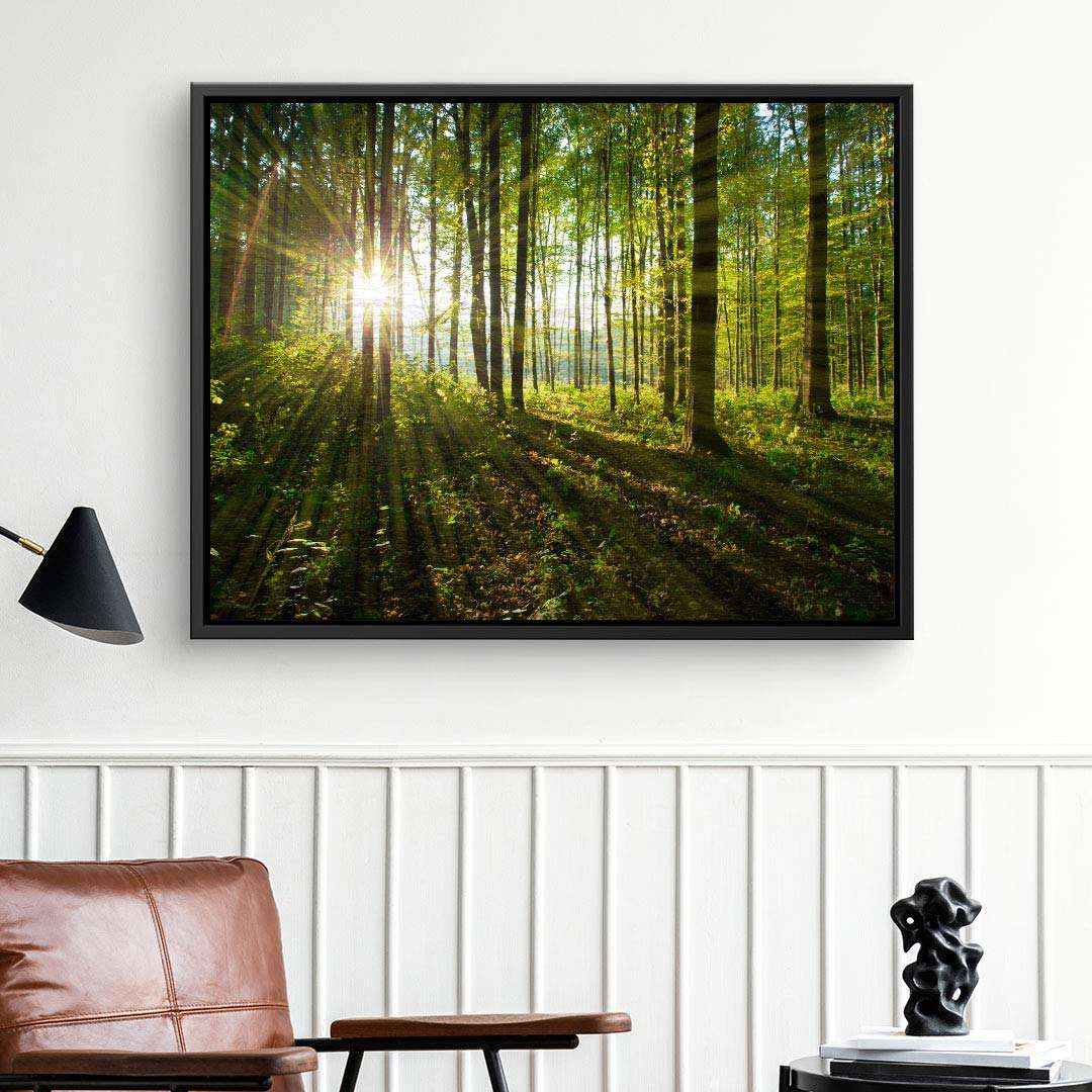 Leinwandbild Sonnenstrahlen im Wald, modernes Wandbild Natur, Wohnzimmer Dekoration