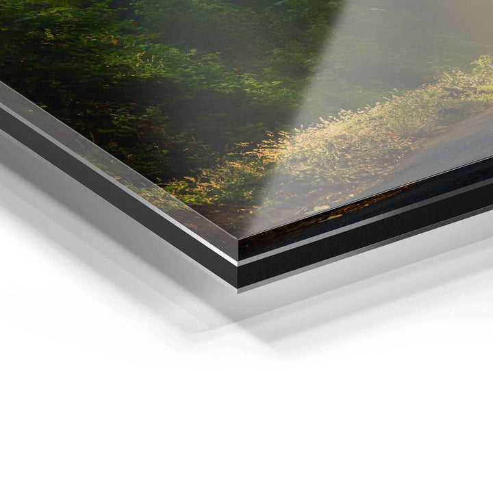 Detailansicht Acrylglas Wandbild, glänzende Oberfläche, hochwertige Materialschichten