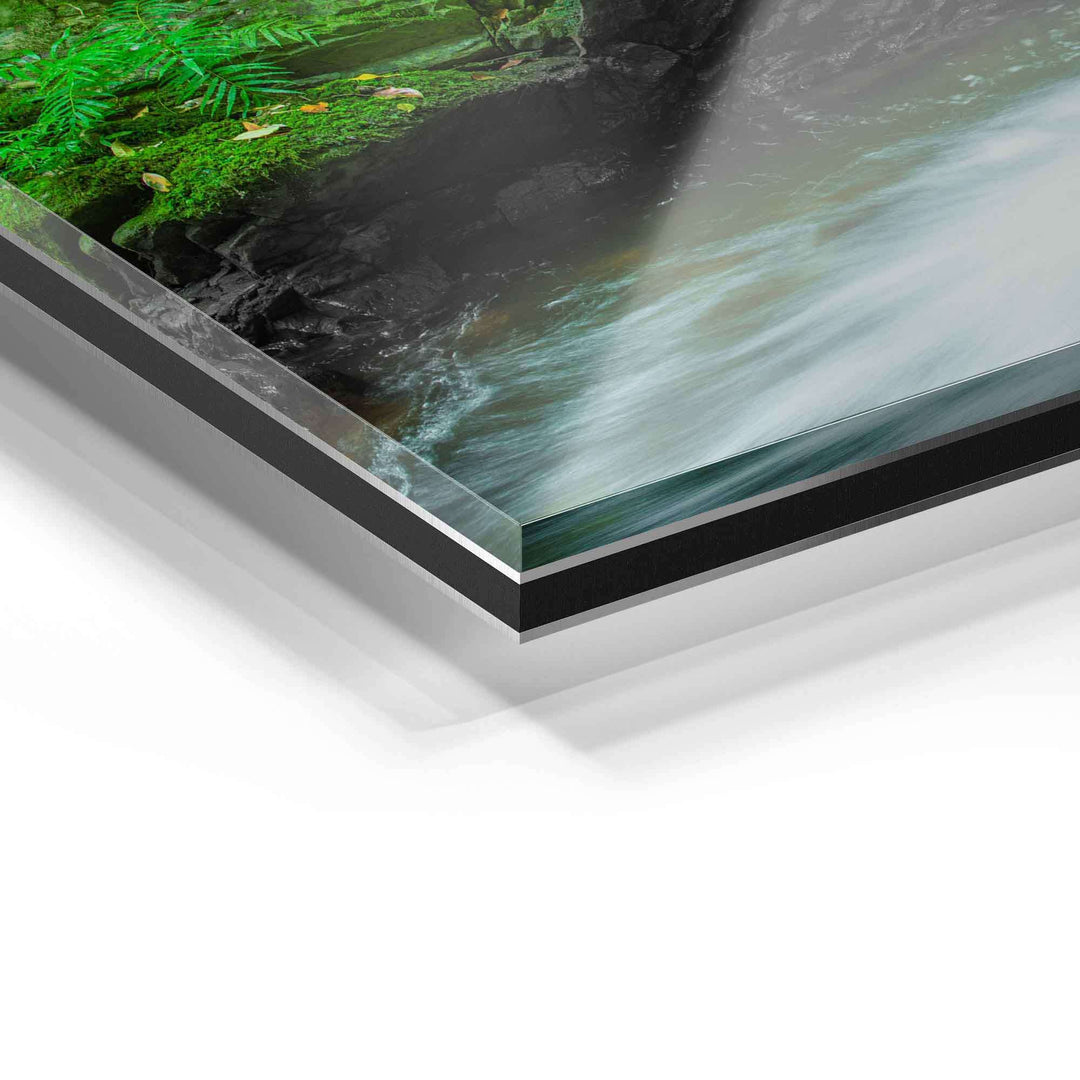 Detailaufnahme Acrylglas Wandbild mit Naturmotiv, Wasser und grüner Pflanzenstruktur
