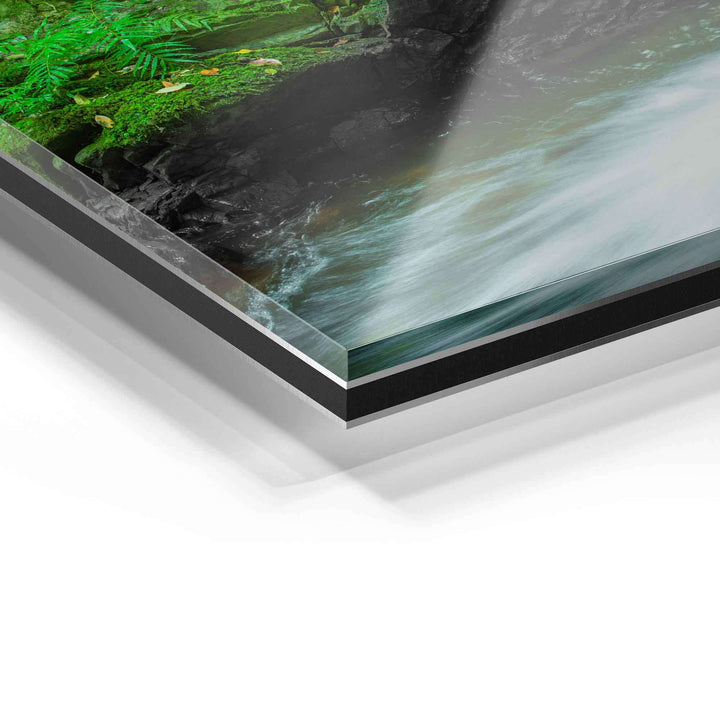 Detailaufnahme Acrylglas Wandbild mit Naturmotiv, Wasser und grüner Pflanzenstruktur