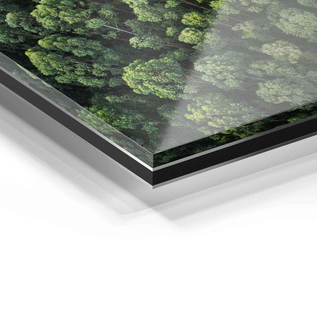 Detailansicht Acrylglas-Wandbild mit Wald Motiv, modernes Wandbild, hochwertige Verarbeitung