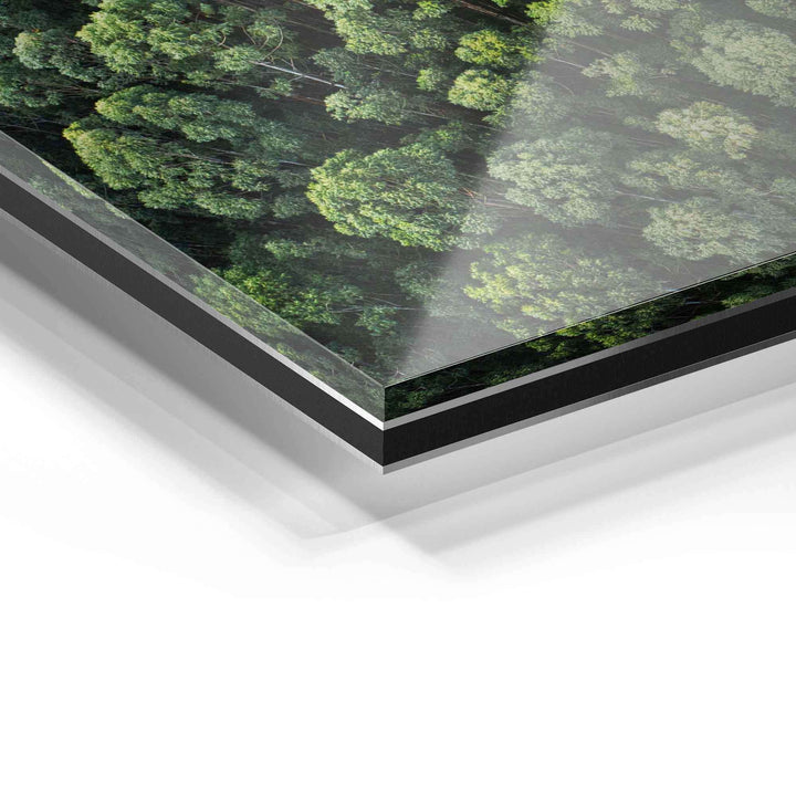 Detailansicht Acrylglas-Wandbild mit Wald Motiv, modernes Wandbild, hochwertige Verarbeitung
