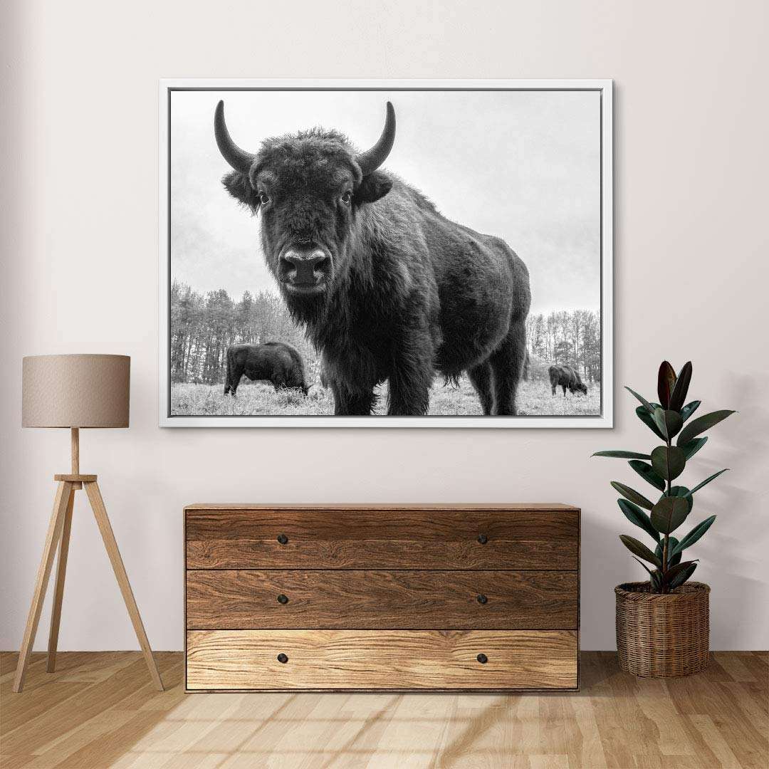 Schwarz-weiß Bison Wandbild auf Leinwand im modernen Wohnzimmer, Natur Deko