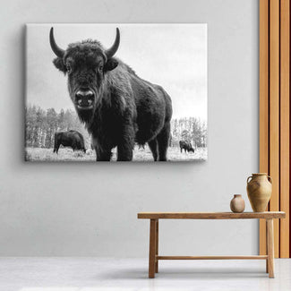 Schwarzweiß Leinwandbild mit Bisons auf einer Wiese, modernes Wandbild für Wohnzimmer