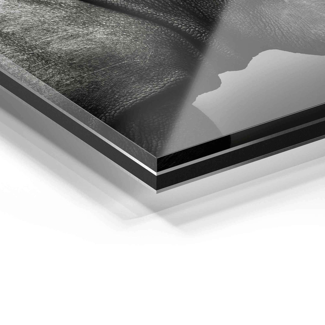 Detailansicht Wandbild auf Acrylglas, moderne Kunst, glänzende Oberfläche, schwarze Konturen