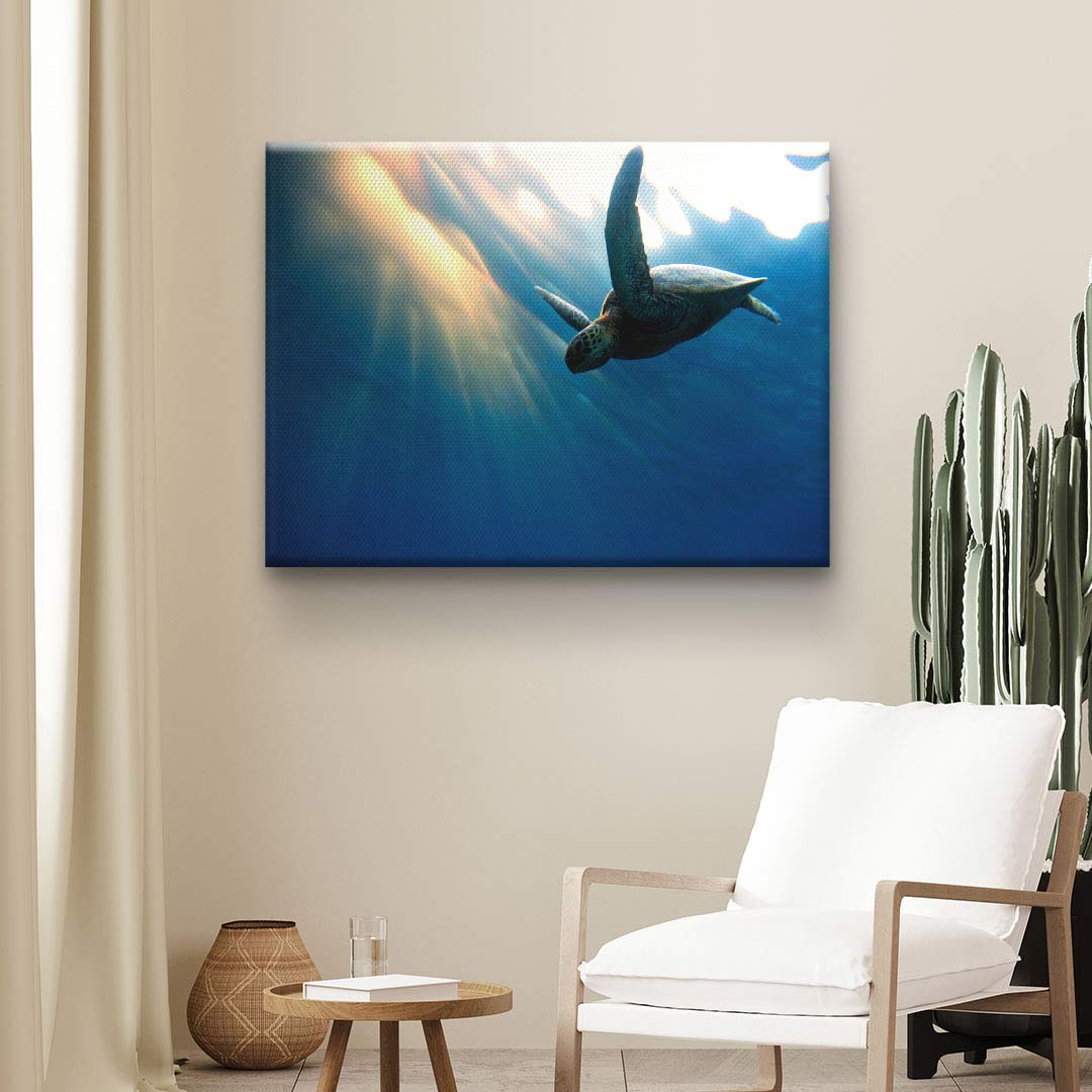 Leinwandbild mit Meeresschildkröte unter Wasser, modernes Wandbild im Wohnzimmer
