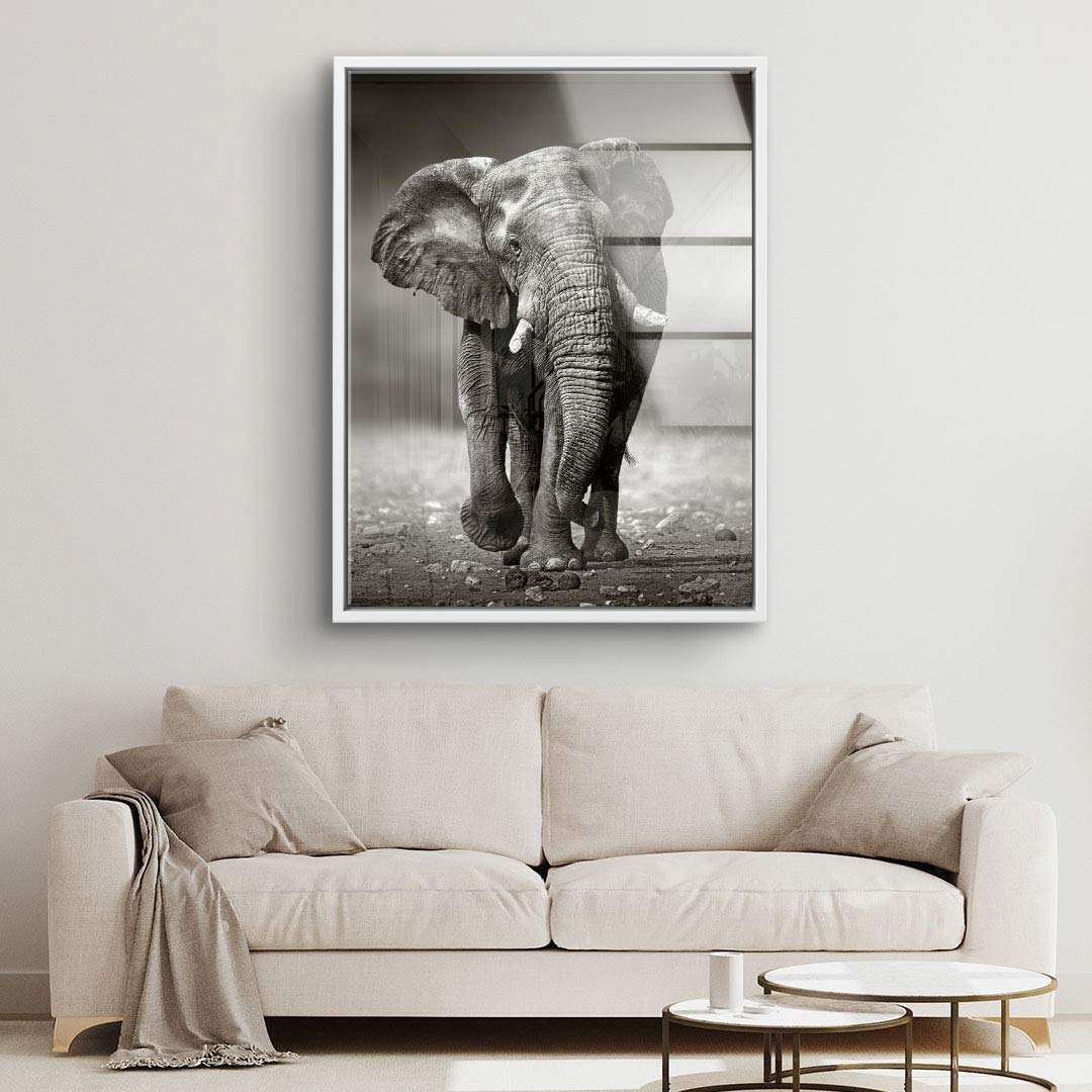 Modernes Wohnzimmer mit Leinwandbild Elefant in Schwarzweiß, Wandbild Tiermotiv