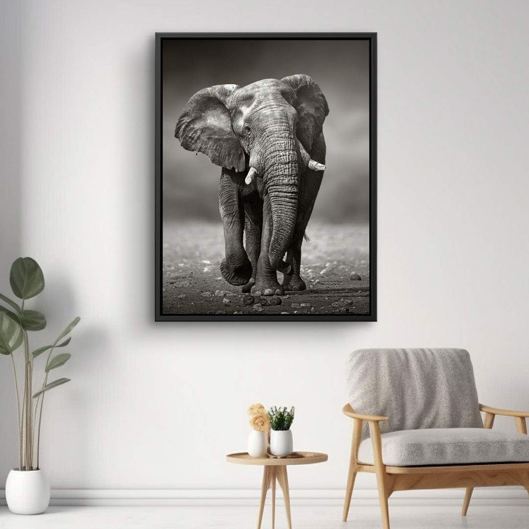 Schwarzweiß Wandbild mit Elefant, modernes Leinwandbild im minimalistischen Wohnzimmer